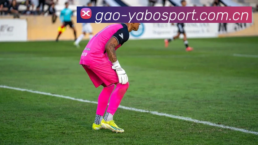 Yabo Sports官网 品牌使命